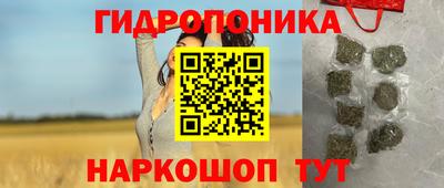 индика Ипатово