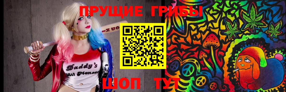 Галлюциногенные грибы Psilocybe  Псилоцибиновые грибы Psilocybine cubensis  Кушва  Вход с VPN 